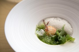 Scallop and seaweed