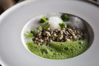 Puy lentil and fregola risotto with parmesan and spinach foams and breton artichoke